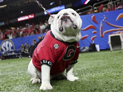 How Georgia's Mascot Inspires the Next Generation of Bulldogs